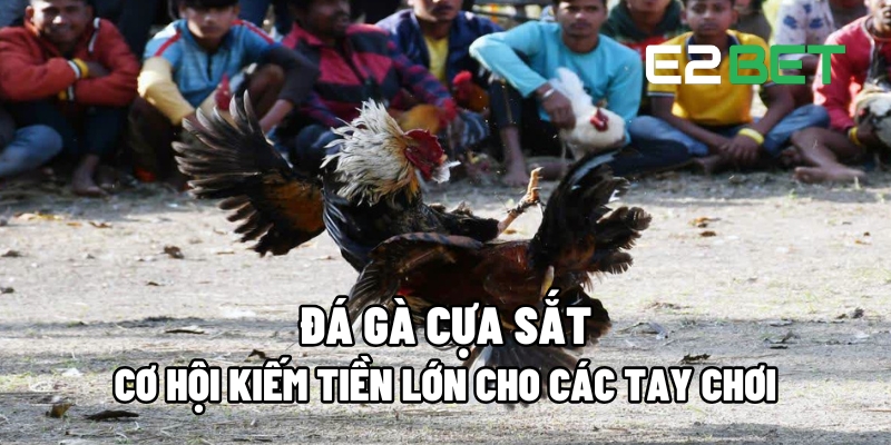 Đá Gà Cựa Sắt